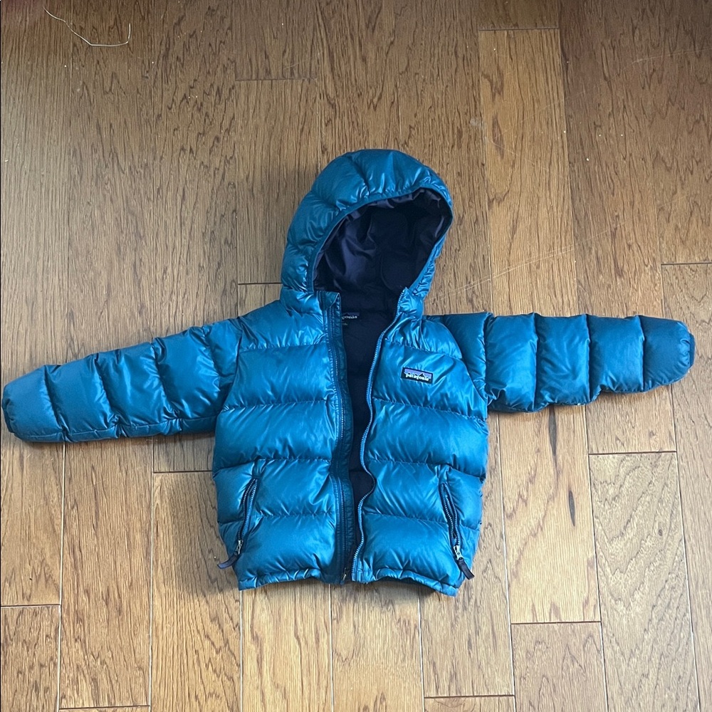 Patagonia 5T Hi-Loft Down Sweater Hoodie
